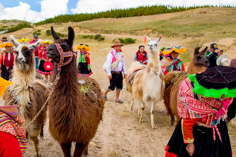 Da Cusco: Trekking con i lama