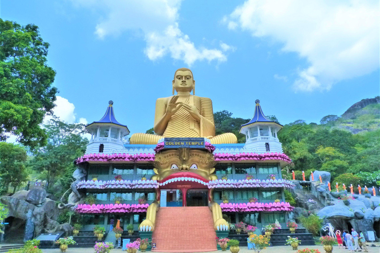 SriLanka: Sigiriya Day Tour with Airport Transfer