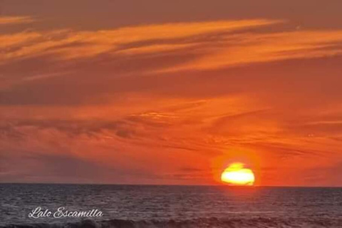 Puerto Escondido: Mazunte and Zipolite Day Tour