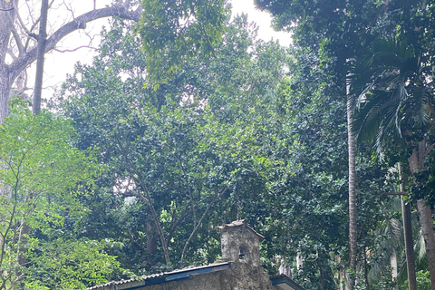 Cartagena: Guided Experience in the Botanical Garden