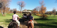 Tre ore di equitazione per il parco nazionale e il villaggio di rocio - Hizvo