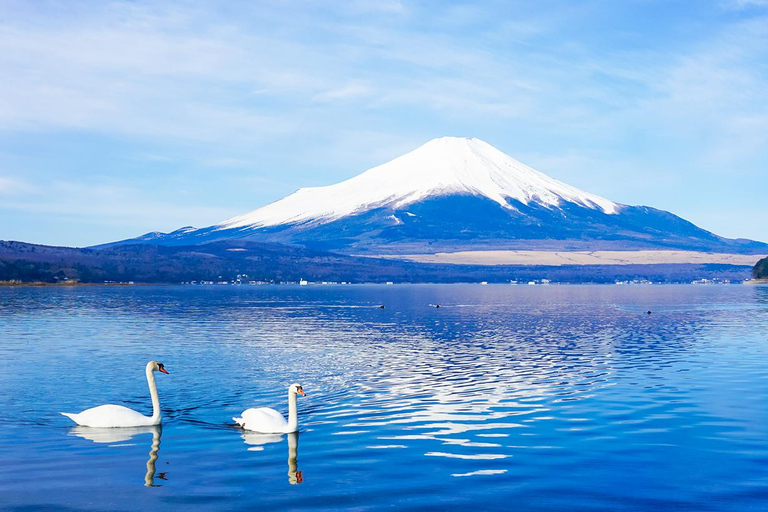 Mt.Fuji:Lake Kawaguchi,Yamanaka & Onsen Day Tour From Tokyo 8:30am pick-up at Shinjuku Station