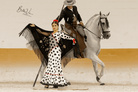 Torremolinos: Spanish horse show and flamenco with dinner option Guided visit and entrance to the show with a seat in a preferential area.