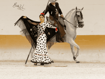 Torremolinos: Spansk hesteshow og flamenco med middag