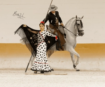 Torremolinos: Espetáculo de cavalos espanhóis e opção de flamenco com jantar