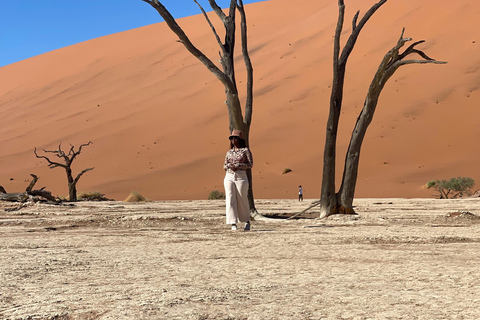 From Windhoek & Swakop: Namib Desert 2-Night Tour with Meals