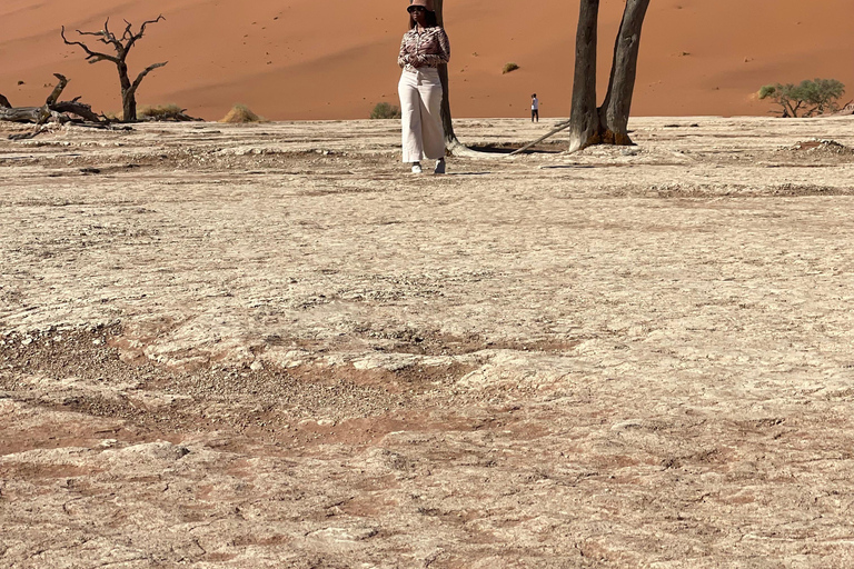 From Windhoek & Swakop: Namib Desert 2-Night Tour with Meals