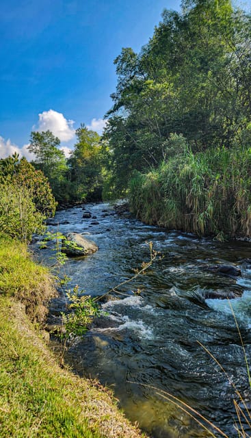 Salento: Short hike to visit the river and Nature Reserve | GetYourGuide