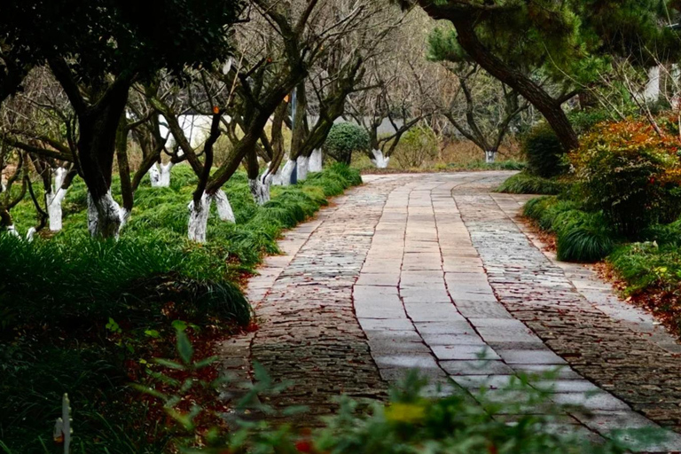 Zhujiajiao Water Town & Grand View Garden Private Tour