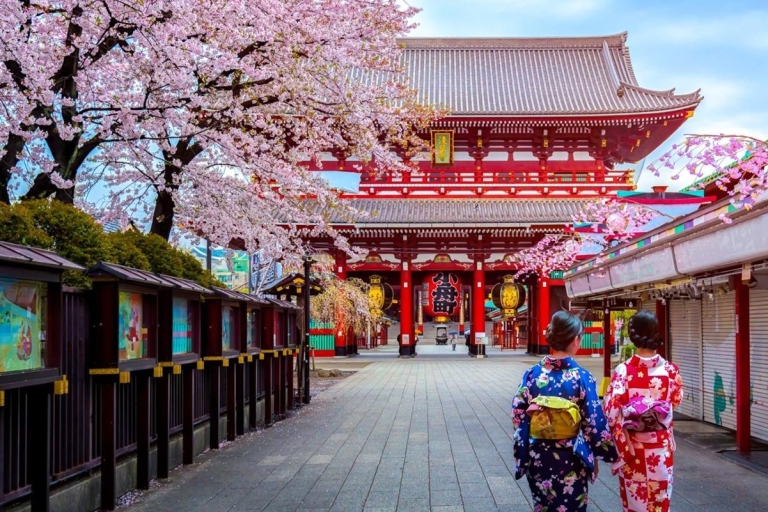 Tokyo : Journée complète de visite à pied privée avec un guide