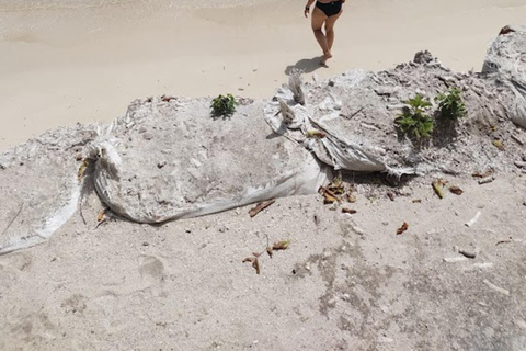 Cartagena: Sol y Papaya Beachclub - Daytour in Isla Grande!