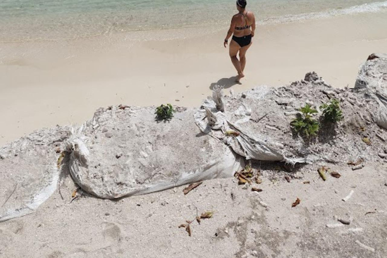 Cartagena: Sol y Papaya Beachclub - Daytour in Isla Grande!