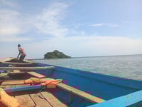 Roots tour /James Island - Housity