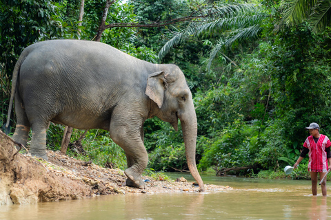 Khao Lak Ethical Elephant Sanctuary Visit & River Tubing Khaolak: Elephant Sanctuary Visit & River Tubing Tour
