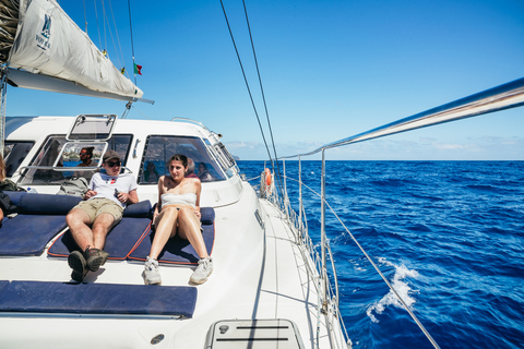 Funchal: osservazione di delfini e balene in catamarano di lusso