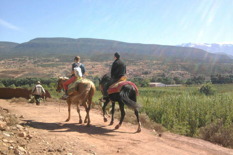 Reiten im Hohen Atlasgebirge mit Übernachtung