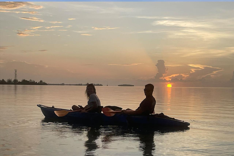 Key West : Excursion de 2 heures en kayak dans la mangroveCélibataire