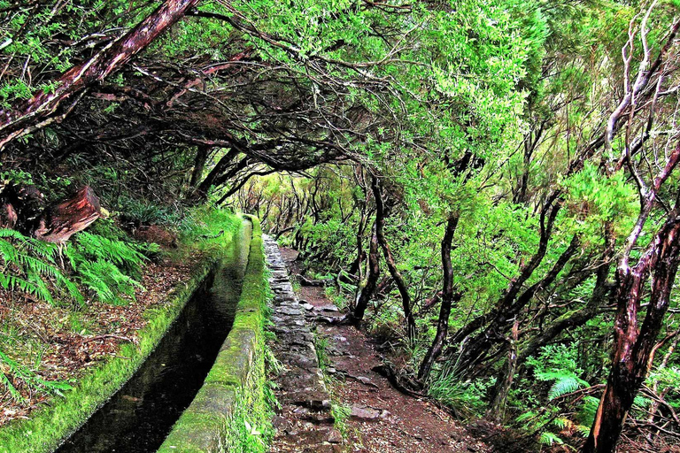 Rabacal Nature Walk: Lakes & Fountains Pickup Funchal, Calheta, Ribeira Brava