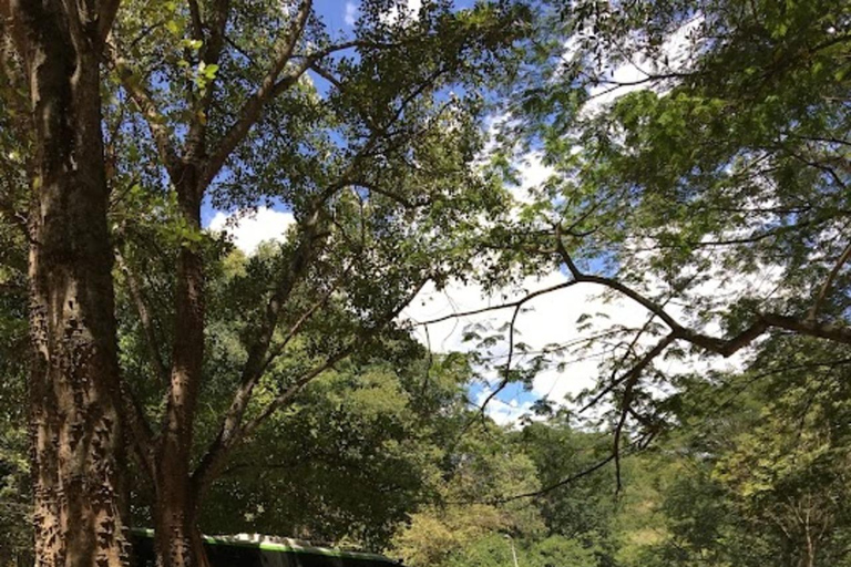 MEDELLIN: PASSEIO A SAN JERONIMO + ECOPARQUE GAITERO + PISCINA