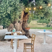 Ostuni: Tour auf einem Bauernhof zwischen jahrtausendealten Olivenbäumen mit Ölverkostung