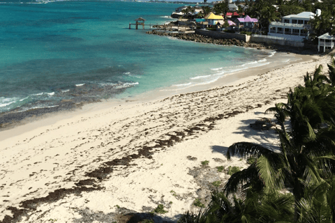 Nassau Bucket List: Private Full-Day Exploration Tour