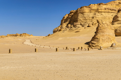 Dal Cairo: Escursione privata di un giorno a El Fayoum con pranzoIl tour include trasferimenti, guida in Ita, pranzo e ingresso.