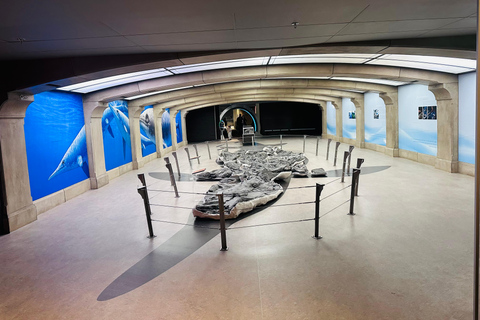 Badlands Tour: Drumheller with Museum, Hoodoos & Dinosaurs Booking Option for Summer 2026