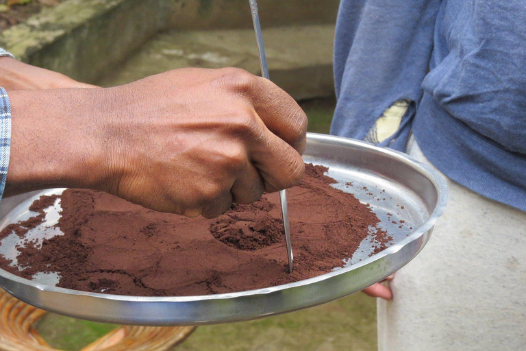 Arusha: tour di una piantagione di caffè con degustazione e tostatura