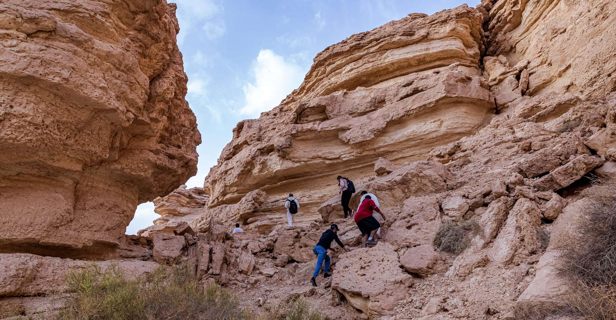 Hiking in the mountains - Housity