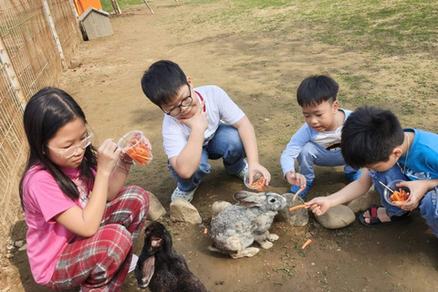 Hanoi: Rainbow Slide & Horse Riding – Small Group Half-day