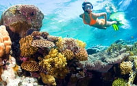 Hoi an, Cham Islands Snorkeling Trip por lancha rápida con almuerzo - Housity