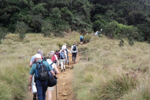 Vakantie Sri Lanka met 5 Dagen trekking de pekoe trailRondleiding in het Engels Privérondleiding