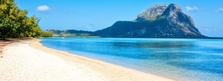 Nage avec les dauphins sur la côte ouest de l'île Maurice, rocher de cristal et déjeuner