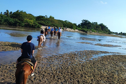 Huatulco:Turtle release,horseback riding and bioluminescence