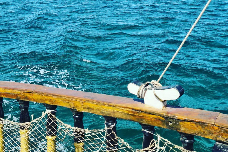 Djerba: Piratenschiff-Kreuzfahrt zur Flamingo-Insel mit Mittagessen