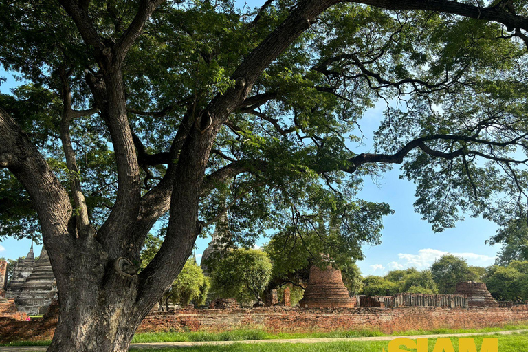 L&#039;incredibile tour degli antichi templi di Ayutthaya: Da BangkokGruppo privato con guida in inglese