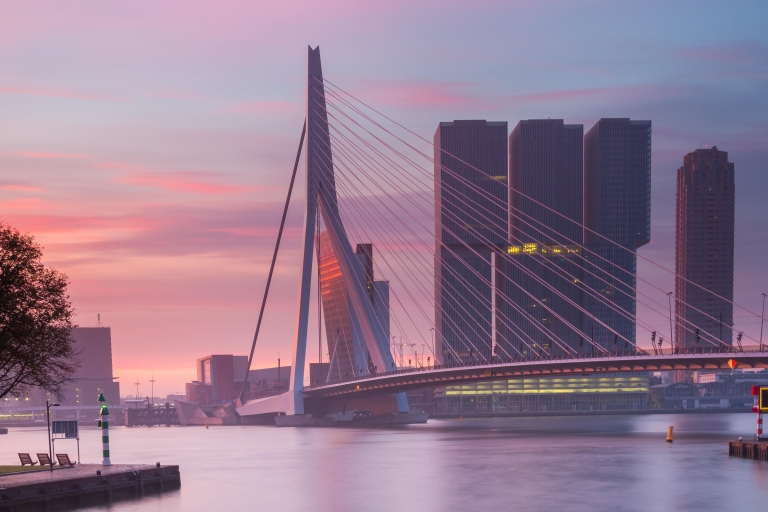 Rotterdam – piesza wycieczka z przewodnikiem i audioprzewodnikiemBilet grupowy (3-6)