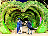 Lima, Magic Water Circuit Light Show Tour mit Abholung - Housity