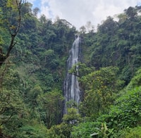 Materuni Wasserfälle, Kaffee -Tour und Chemka Hot Springs - Housity