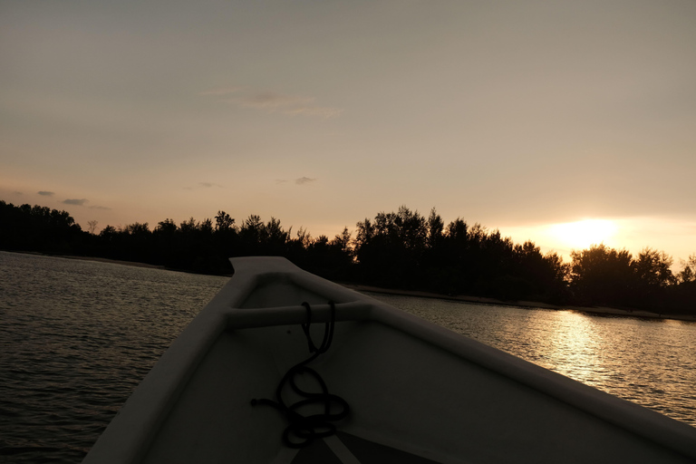 Langkawi : visite privée de 2 heures dans la mangrove avec transfert depuis l&#039;hôtelGroupe de 6 personnes (par bateau)