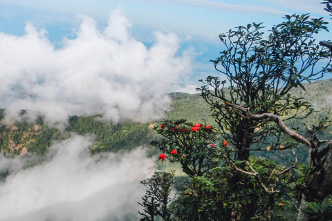 Doi Inthanon i Kew Mae Pan: Natura, kultura i przygoda