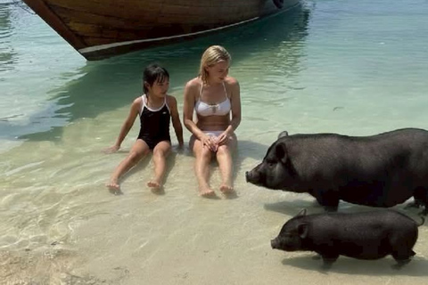 Koh Samui: Viewpoint, Elephant, Pig Island & Snorkel + Lunch Viewpoint, Elephant, Snorkeling, Pig Island+Lunch