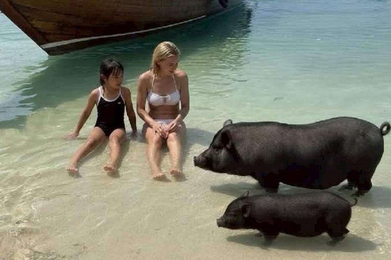 Koh Samui: Viewpoint, Elephant, Pig Island & Snorkel + Lunch Viewpoint, Elephant, Snorkeling, Pig Island+Lunch