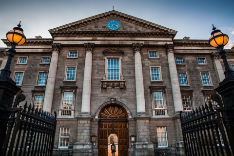 Dublin: historyczna wycieczka piesza z przewodnikiem i bilet wstępu do Zamku DublińskiegoHistoryczna wycieczka piesza z przewodnikiem i bilet do zamku w Dublinie: Angielski