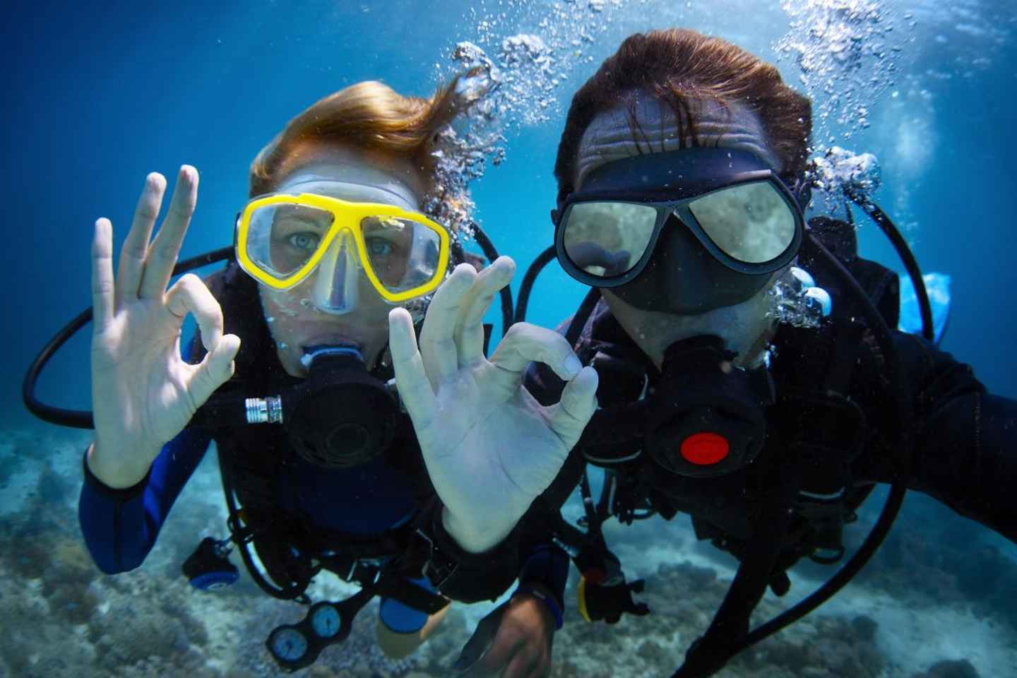 Diving Tour from Alanya & Side with Lunch - 2 Dives Included