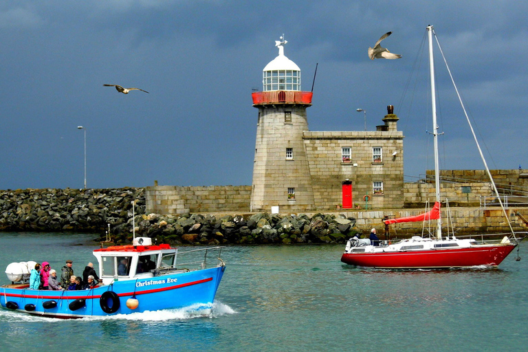 Dublino: Tour a piedi della costa di HowthDublino: Escursione sulla costa della penisola di Howth