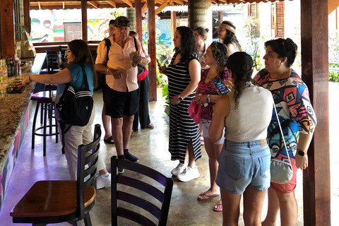 鲍勃·马利九英里之旅（从蒙特哥贝和法尔茅斯出发）鲍勃·马利9英里之旅（从蒙特哥贝和法尔茅斯出发）