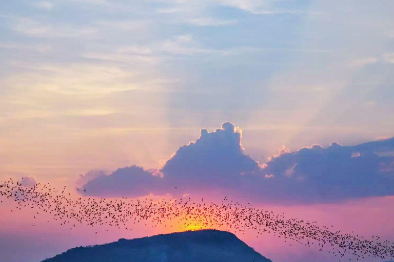 Battambang: Bamboo Train, Killing Caves &amp; Bat Cave Tour