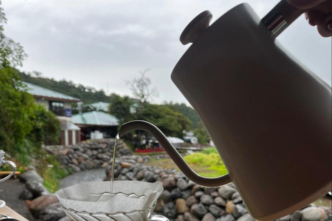 Boquete: Guided Coffee Tasting Experience
