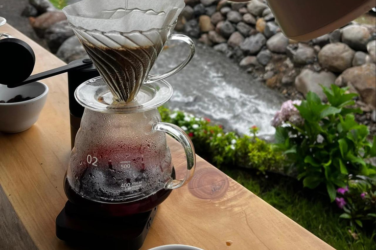 Boquete: Guided Coffee Tasting Experience